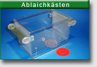 KDAstoesselaquaristikPiconAblaichksten